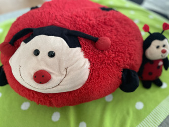 Webseite der Kindertagespflege „Marienkäfer“ Webseite der Kindertagespflege „Marienkäfer“